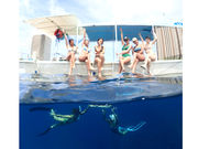 アクアブルーの写真3