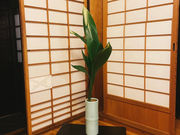 塚本茶華道教室の写真3