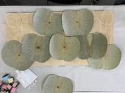 Yaco Arts Tokyoの写真4