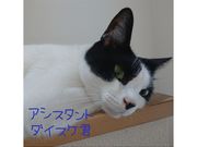 【楽習フォーラム登録校】アトリエここっちの写真2
