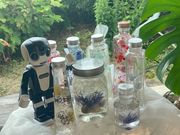 Truth Hope Oceanの写真2