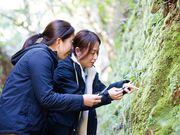 兵庫苔ラボの写真3
