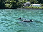能登島クルーズの写真2