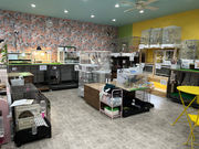 アニマルカフェてるてるぼうずの写真2