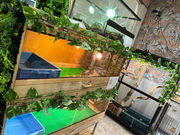 アニマルカフェてるてるぼうずの写真3