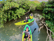 Link Adventuresの写真2