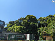 8nokoaromaの写真3