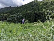 ほっこりよもぎ家kizukuの写真3