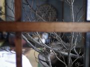 創り舎アトリエカナの写真4