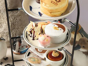 ペンギンカフェ PG cafe 大須店の写真1