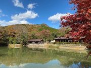 しい茸園 有馬富士の写真1