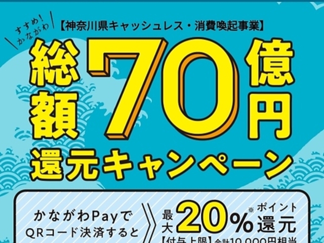 石窯ピザのイタリアン ピザコゾウ Pizza Cozouの写真1