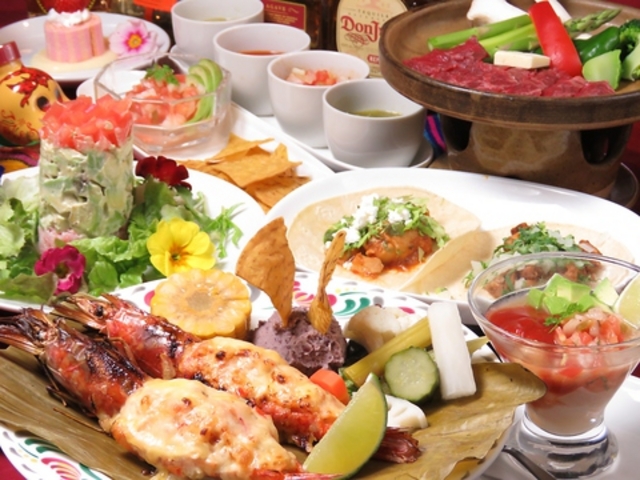 Camino Real カミノ レアルの写真1