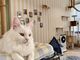猫カフェ 美観nekoの写真2