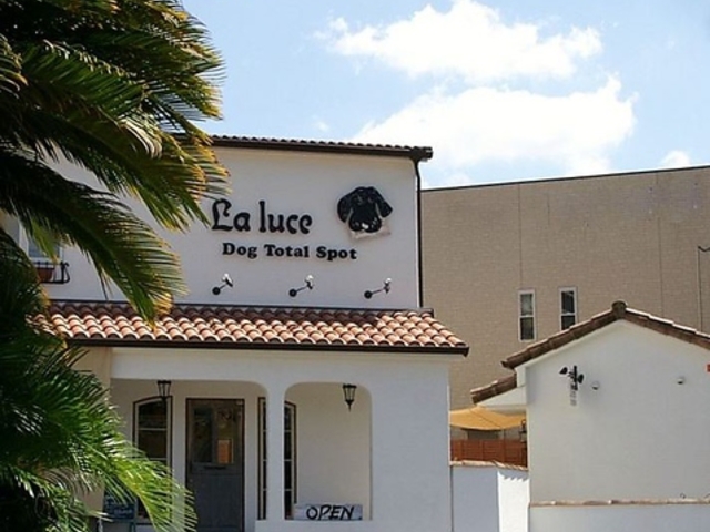 La Luce ラルーチェ 上野芝の写真1