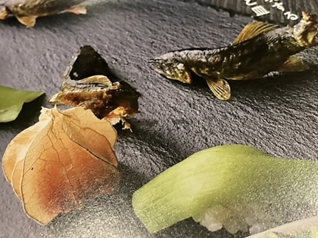 日本料理 馳惣の写真1