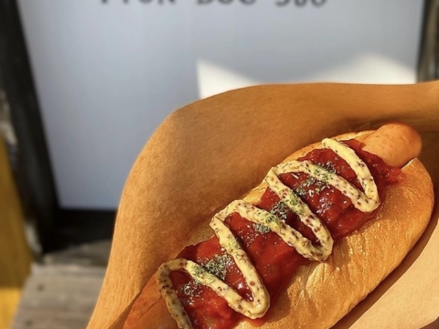 PYON DOG 580の写真1