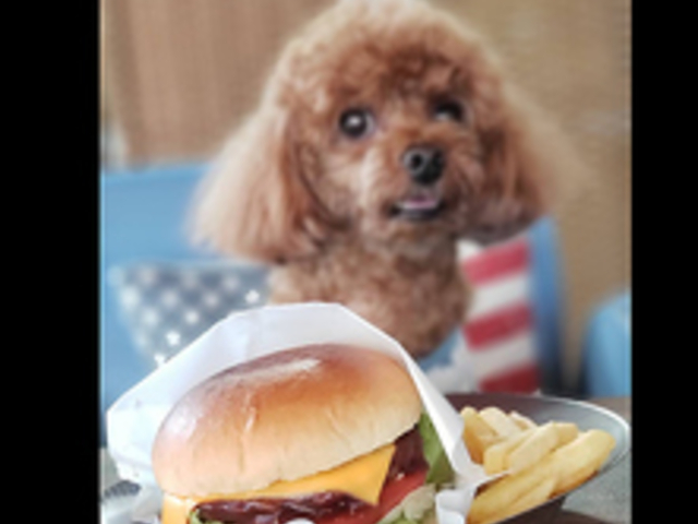 Outdoor cafe&Bar Dins.C ディンズカフェの写真1