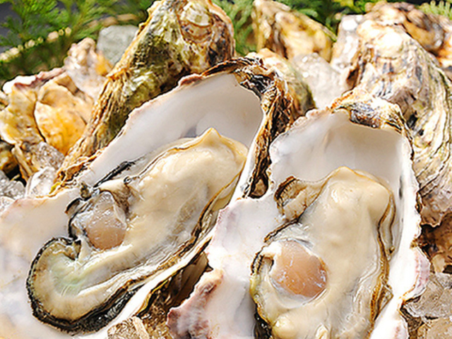 居酒屋 玖 -kyu-の写真1