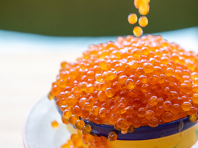 ちょこっと寿し 桜坂店の写真1