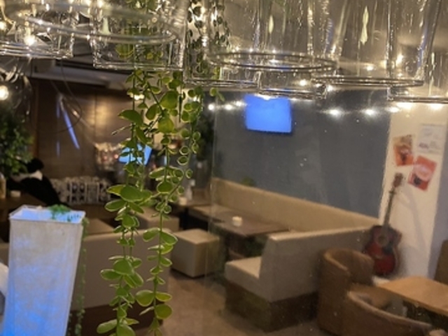 Muu muu ムームーの写真1