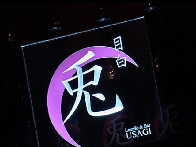 USAGI ウサギの写真1