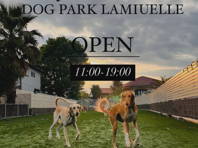 DOG PARK LAMIUELLE ドッグ パーク ラミュエルの写真1