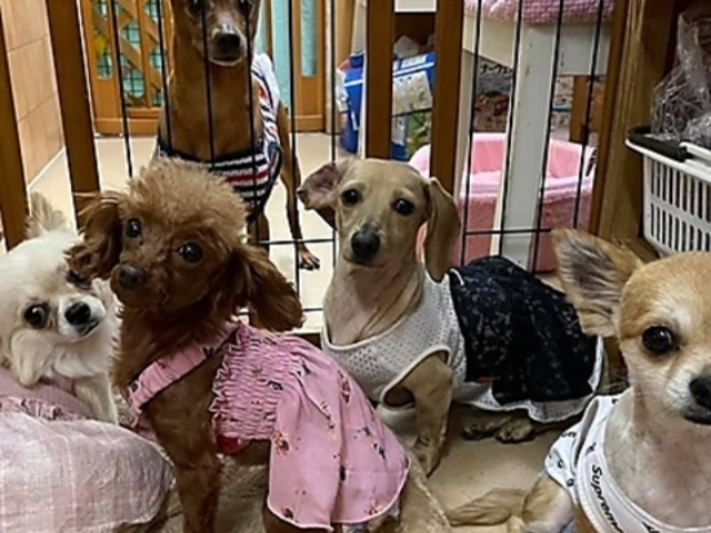 HOGOKEN PARK ホゴケンパーク 長居店の写真1