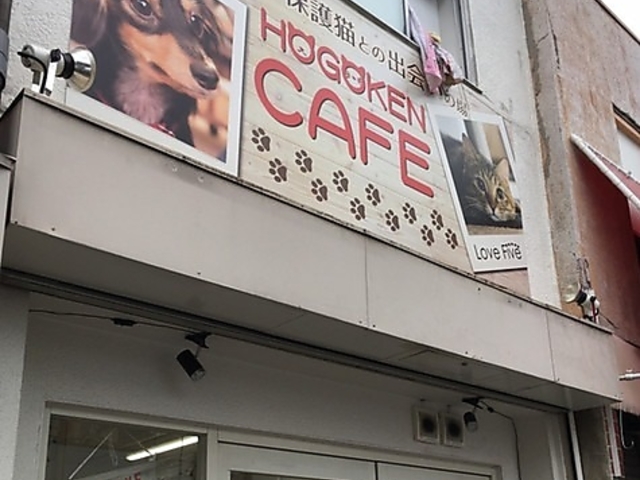 保護犬カフェ寺田町店の写真1