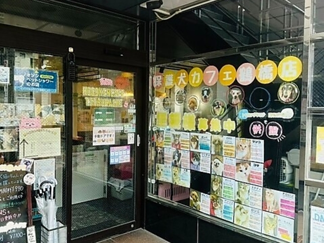 保護猫カフェ 鶴橋店の写真1