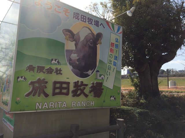 成田ふれあい牧場