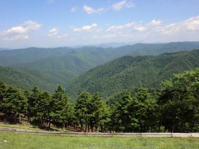 長老山森林公園の写真1