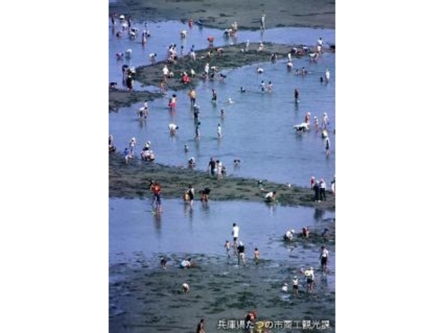 新舞子浜_新舞子海水浴場