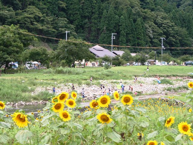 千種川のほとりにあるオールシーズン対応アウトドア施設です_南光自然観察村