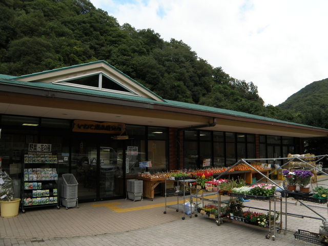 道の駅 根来さくらの里