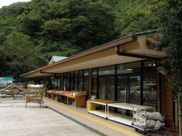 道の駅 根来さくらの里