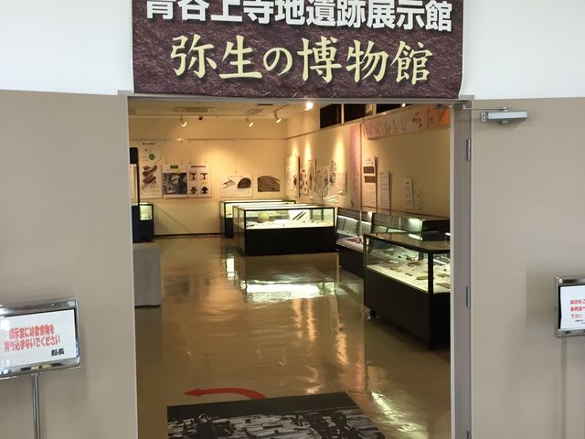 鳥取市青谷上寺地遺跡展示館