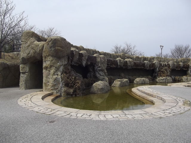 藍住町桜づつみ公園