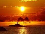 海霧の写真1