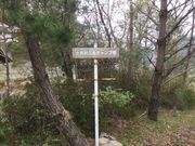 三島キャンプ場の写真2