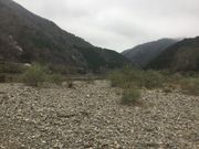 三島キャンプ場の写真3