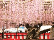 大中臣神社の写真1