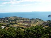 平ノ辻農村公園の写真1