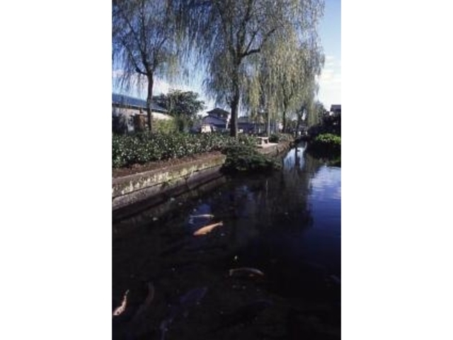 泉の郷 湧水公園