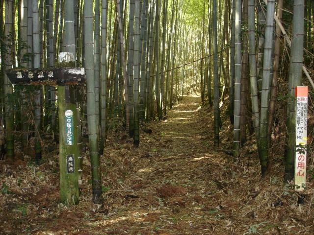 石見銀山街道やなしお道の写真1