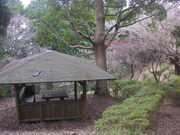 伊豆山子恋の森公園の写真1