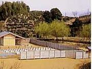 志太郡衙資料館の写真1