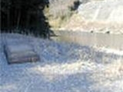 三瀬の渡し跡の写真1