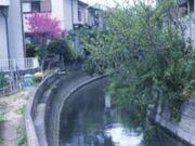 寺戸川(深田川)の写真1