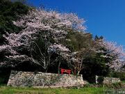石床神社旧社地の写真1